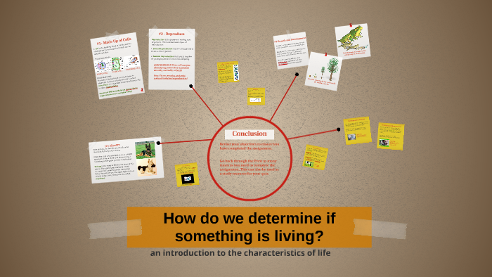 what-makes-something-living-by-jennifer-curley