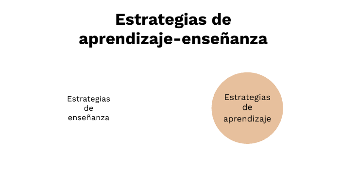 Estrategias De Enseñanza-aprendizaje By Gisela Burg