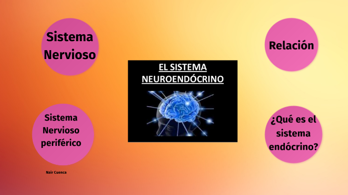 Sistema neuoendocrino by Nair Cuenca on Prezi