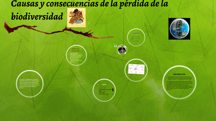 Causas y consecuencias de la perdida de la biodiversidad by nancy ...