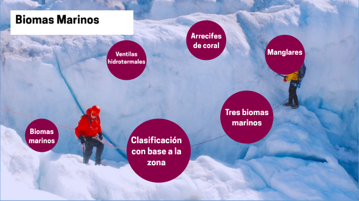 Biomas Marinos by Xochitl Soriano Tejeda on Prezi