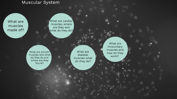 muscular system by Khushi Mehta on Prezi