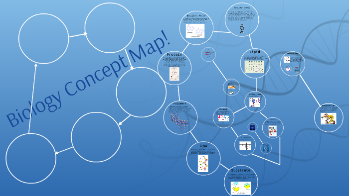 Biology Concept Map! by Steever Nizar on Prezi