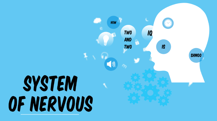 Nervous System by Nathan Romo on Prezi