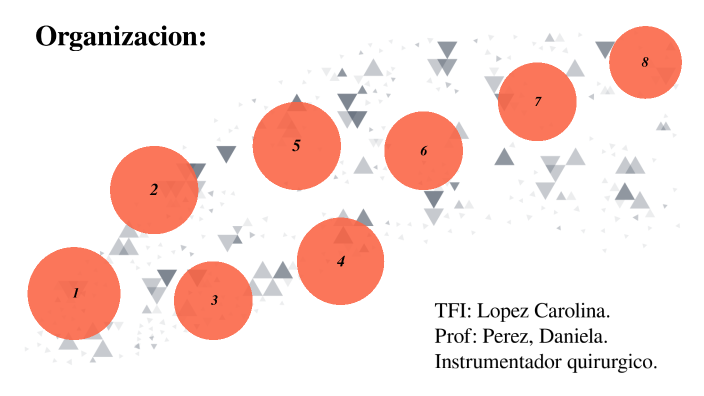 ORGANIZACION: by Carolina Lopez on Prezi