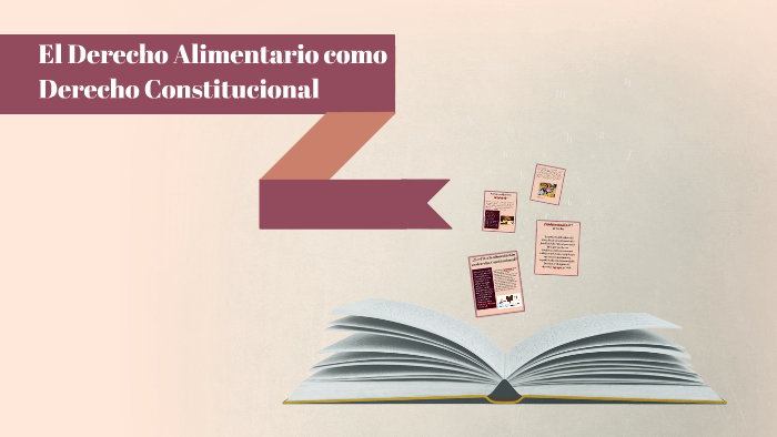 El Derecho Alimentario Como Derecho Constitucional By David Limachi 2762