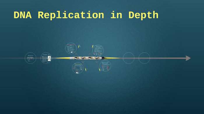 DNA Replication in Depth by Sarah Rodney