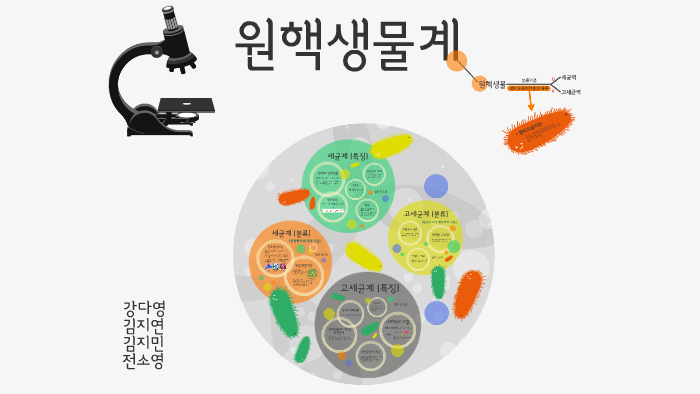 고세균 구조