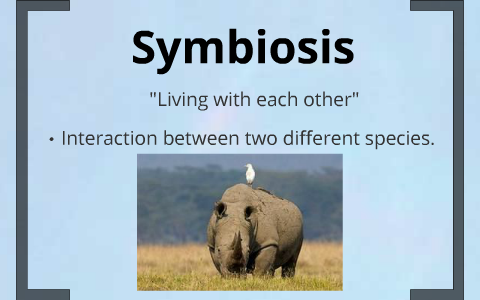 Symbiosis by nick Jacob on Prezi