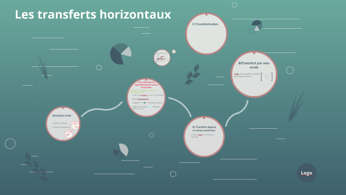 les-transferts-horizontaux-by-dina-mct-on-prezi