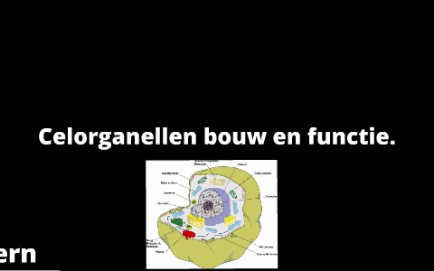 Celorganellen bouw en functie by Guido Houtzager