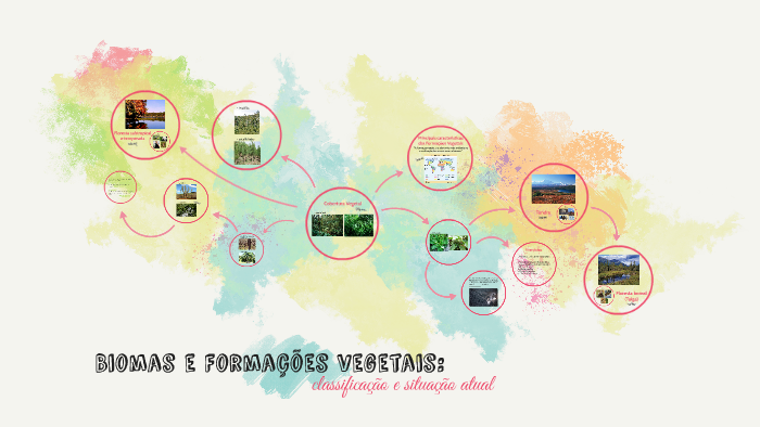 Biomas e formações vegetais by Júlia Zanon on Prezi