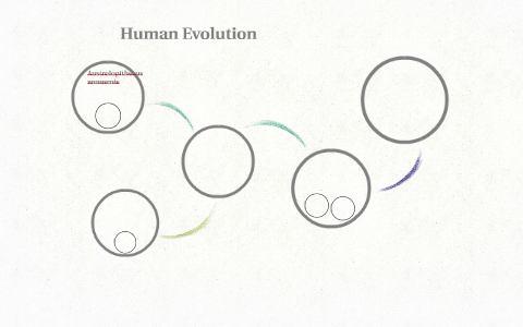 Human Evolution by Nathan Brunette on Prezi