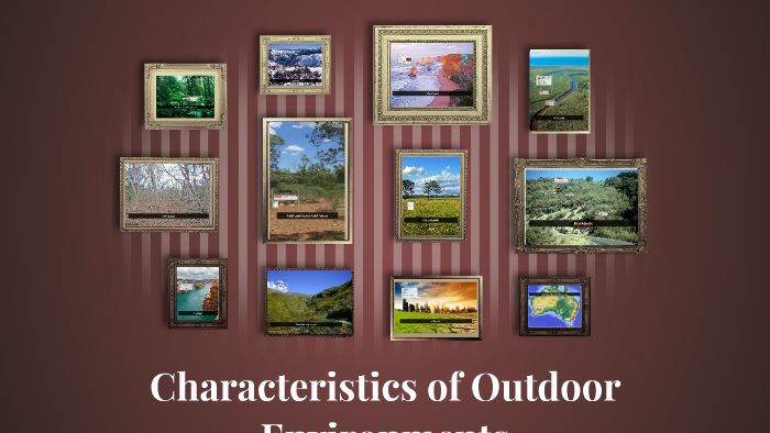 Characteristics Of Outdoor Environments by Jacinta Polmear on Prezi