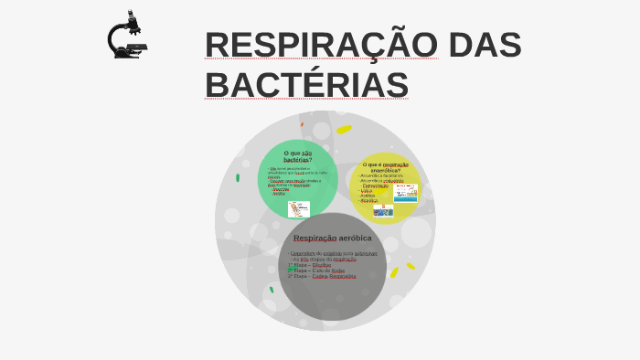 RESPIRAÇÃO DAS BACTÉRIAS by Carol Diniz on Prezi