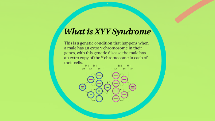 case study of xyy syndrome