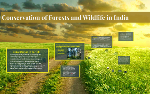 Conservation of Forests and Wildlife Resources by Daisy Franci