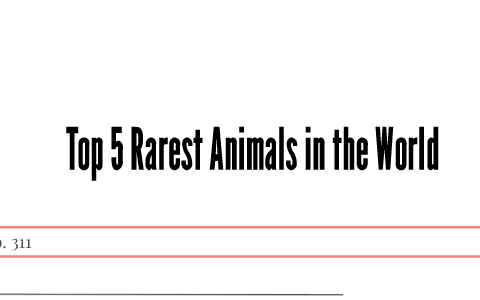 Top 5 Rarest Animals in the World by Deamber Dillard on Prezi