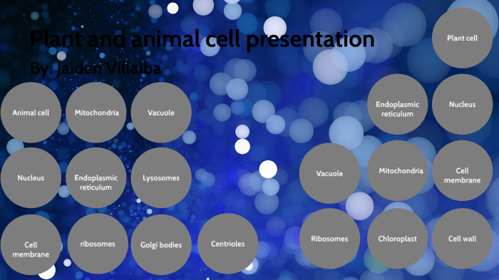 Plant and animal cell presentation by Jaiden villalba on Prezi
