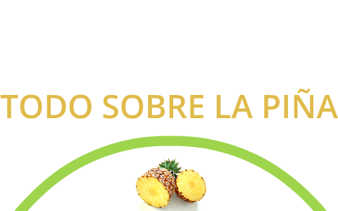 Todo Sobre La PiÑa By Monica Ocampo On Prezi