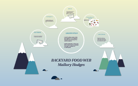 Backyard Food Web By Mallory Hodges On Prezi