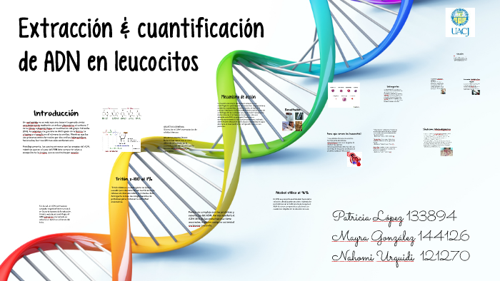 Extracción & cuantificación de ADN en leucocitos by Paty Lopez on Prezi