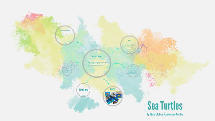 Sea Turtles by Nazneen Rana on Prezi