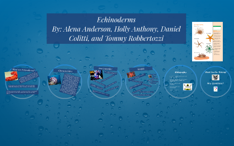 Echinoderms by Alena Anderson on Prezi