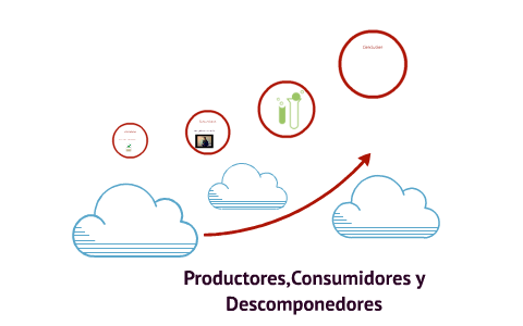 productores consumidores y descomponedores