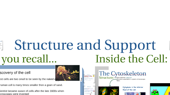 Biology Prezi Cell Structure By Kkass Allen On Prezi Biology Prezi Cell Structure By Kkass Allen On Prezi