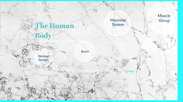The Human Body by JULIAN JIMENEZ on Prezi