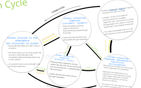 The Carbon cycle by Leisa Valentine on Prezi