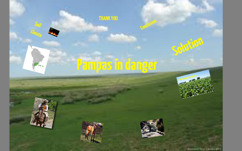 Pampas in danger the first by Hyun Woo Park on Prezi