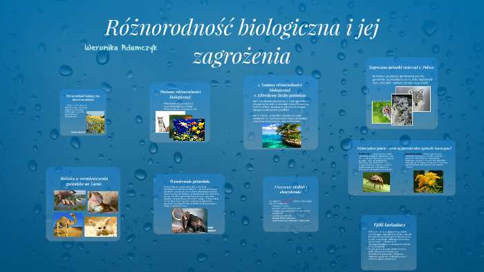 Różnorodność biologiczna i jej zagrożenia by Weronika Monika on Prezi