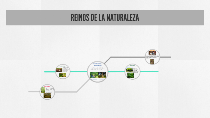 REINOS DE LA NATURALEZA by juan nicolas alvarez muñoz on Prezi