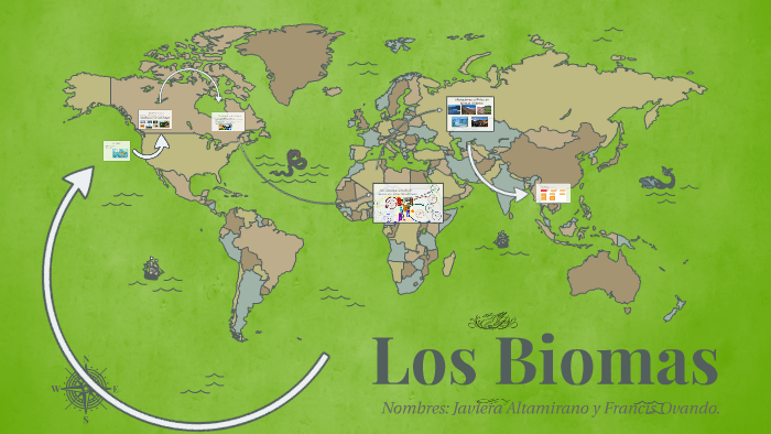 Los Biomas by Javiera Altamirano on Prezi