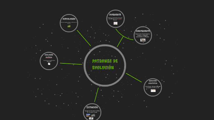 Patrones De EvoluciÓn By Milagros Zallocco