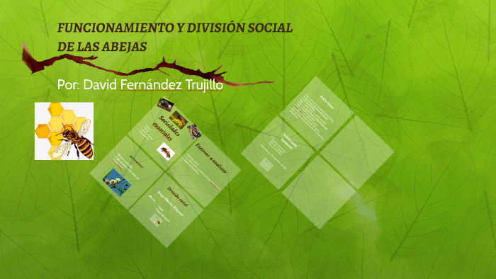 FUNCIONAMIENTO Y DIVISIÓN SOCIAL DE LAS ABEJAS by David Fernandez ...