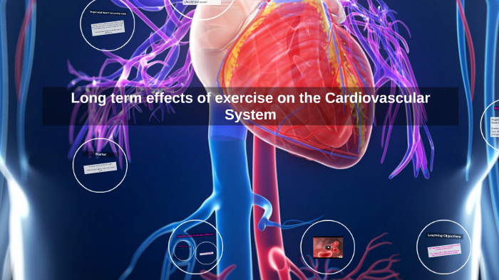 Long term effects of training on the Cardiovascular System by Francesca ...