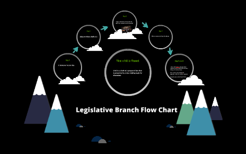 Legislative Branch Flow Chart