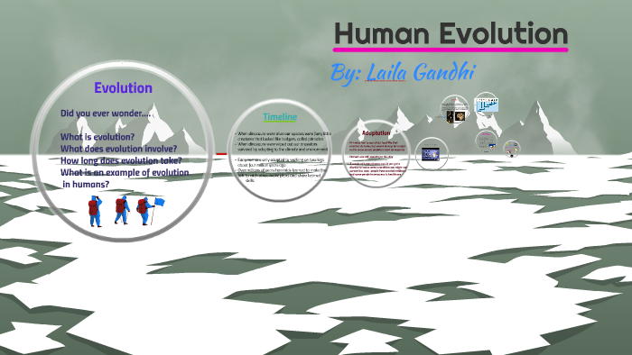 Human Evolution by Laila Gandhi on Prezi