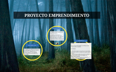 proyecto emprendimiento by Maria luisa hernandez on Prezi