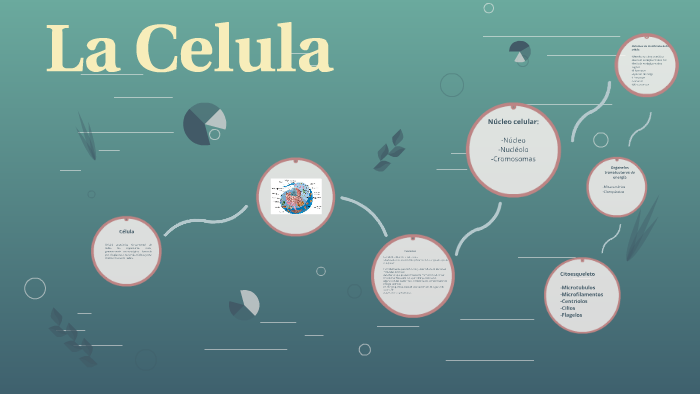 La Celula by Jorge Enriquez on Prezi