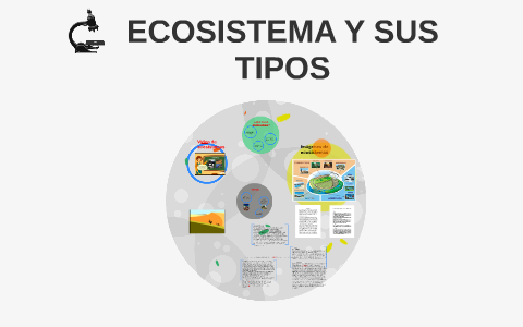 ECOSISTEMA Y SUS TIPOS by Marlen Morales