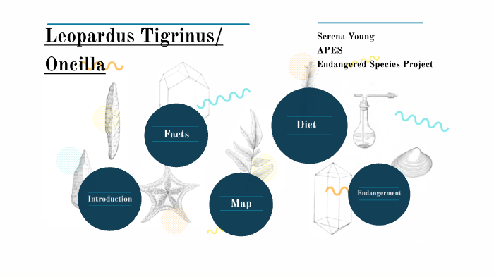 Endangered Species Project by Serena Young on Prezi