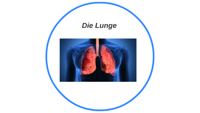 Anatomie und Funktion der Lunge by Christoph Slowiok on Prezi