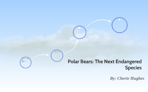 Polar Bears: The Next Endangered Species by Cherie Hughes on Prezi