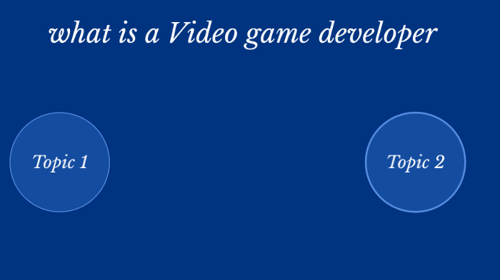 what-is-a-video-game-developer-by-harvest-gehrlein