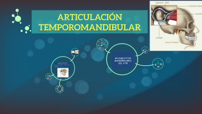 ARTICULACIÓN TEMPOROMANDIBULAR by Brenda Alejo Barrientos on Prezi