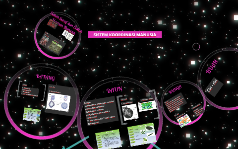 STRUKTUR dan FUNGSI BAGIAN TUMBUHAN by